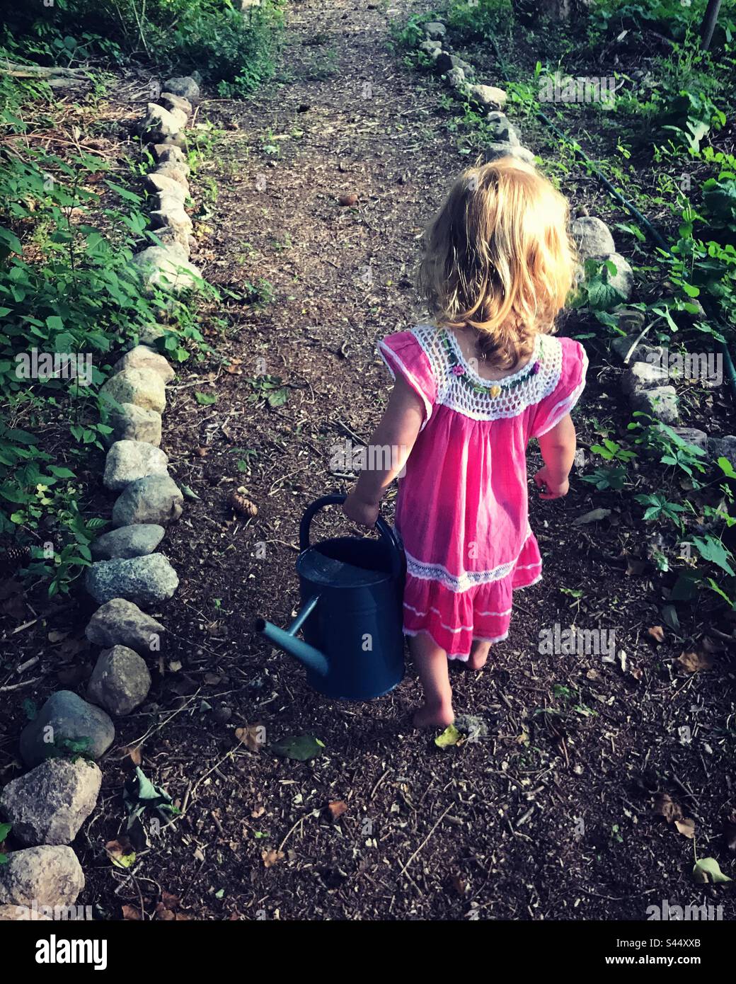 Young girl walks down a garden path lined with stones carrying her tin watering can. Stock Photo