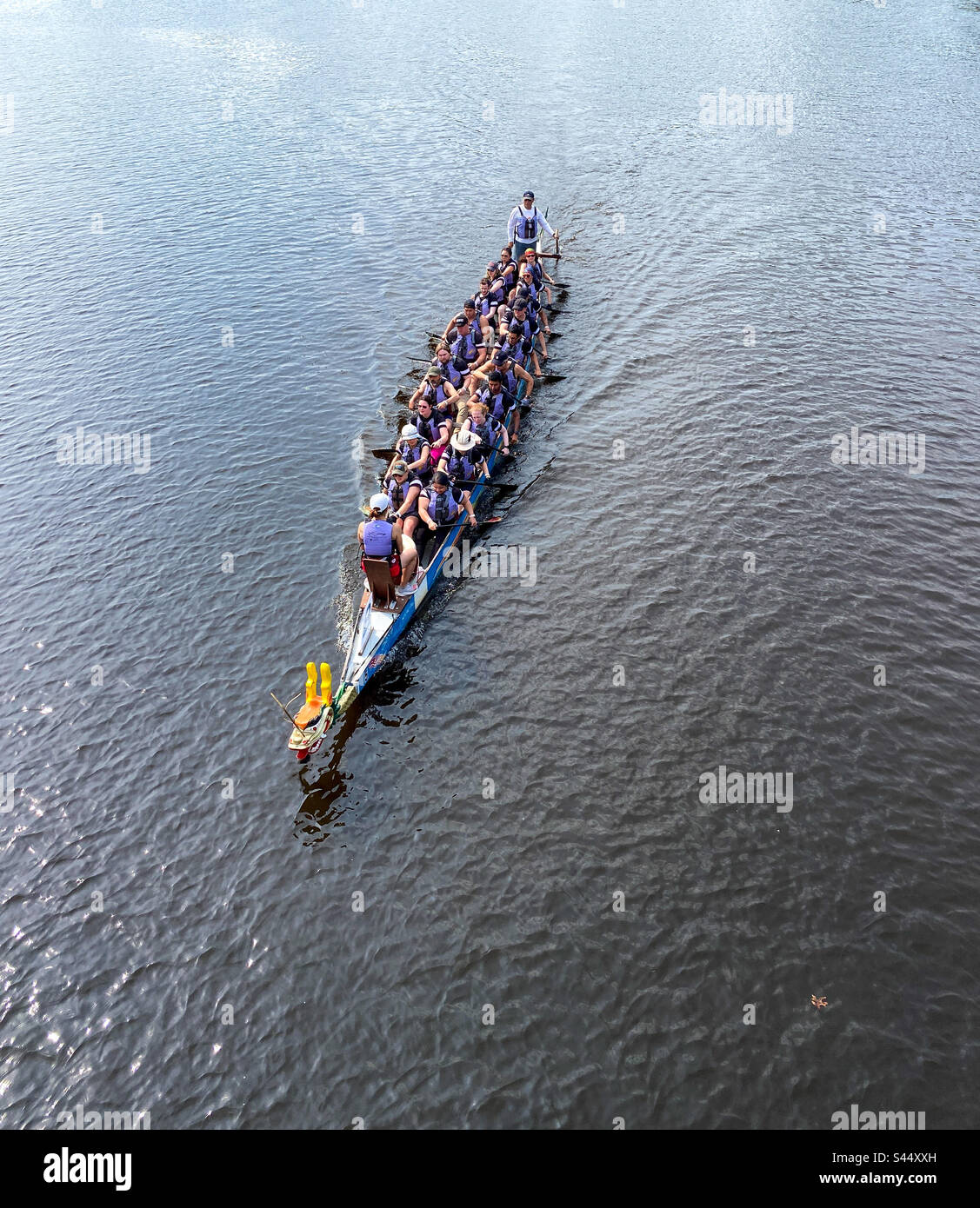 Dragon boat Festival in Cambridge, Massachusetts  Charles river, 2023 Stock Photo