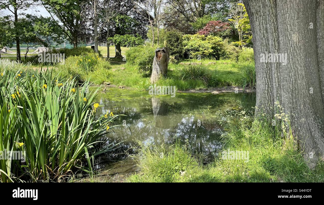 War Memorial Park Coventry. - Smartphone Captured Stock Image