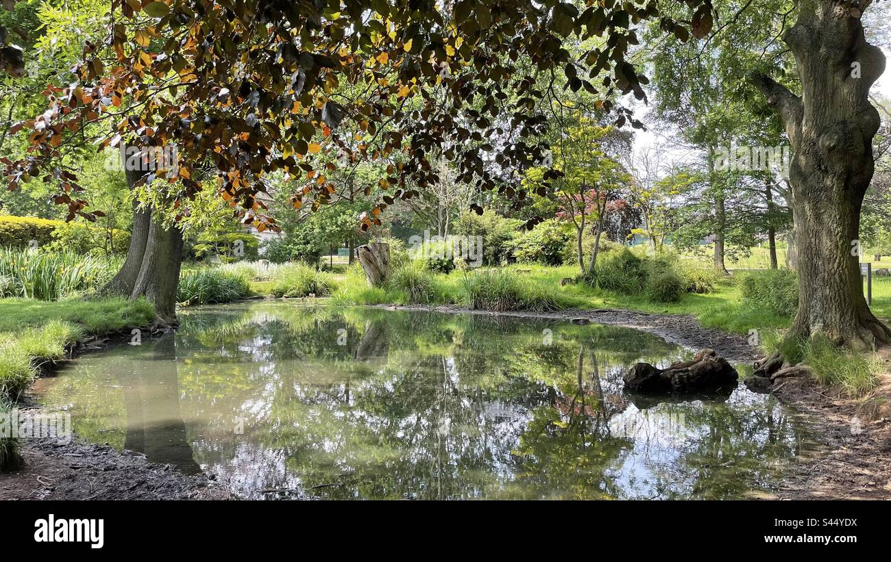 War Memorial Park Coventry. - Smartphone Captured Stock Image