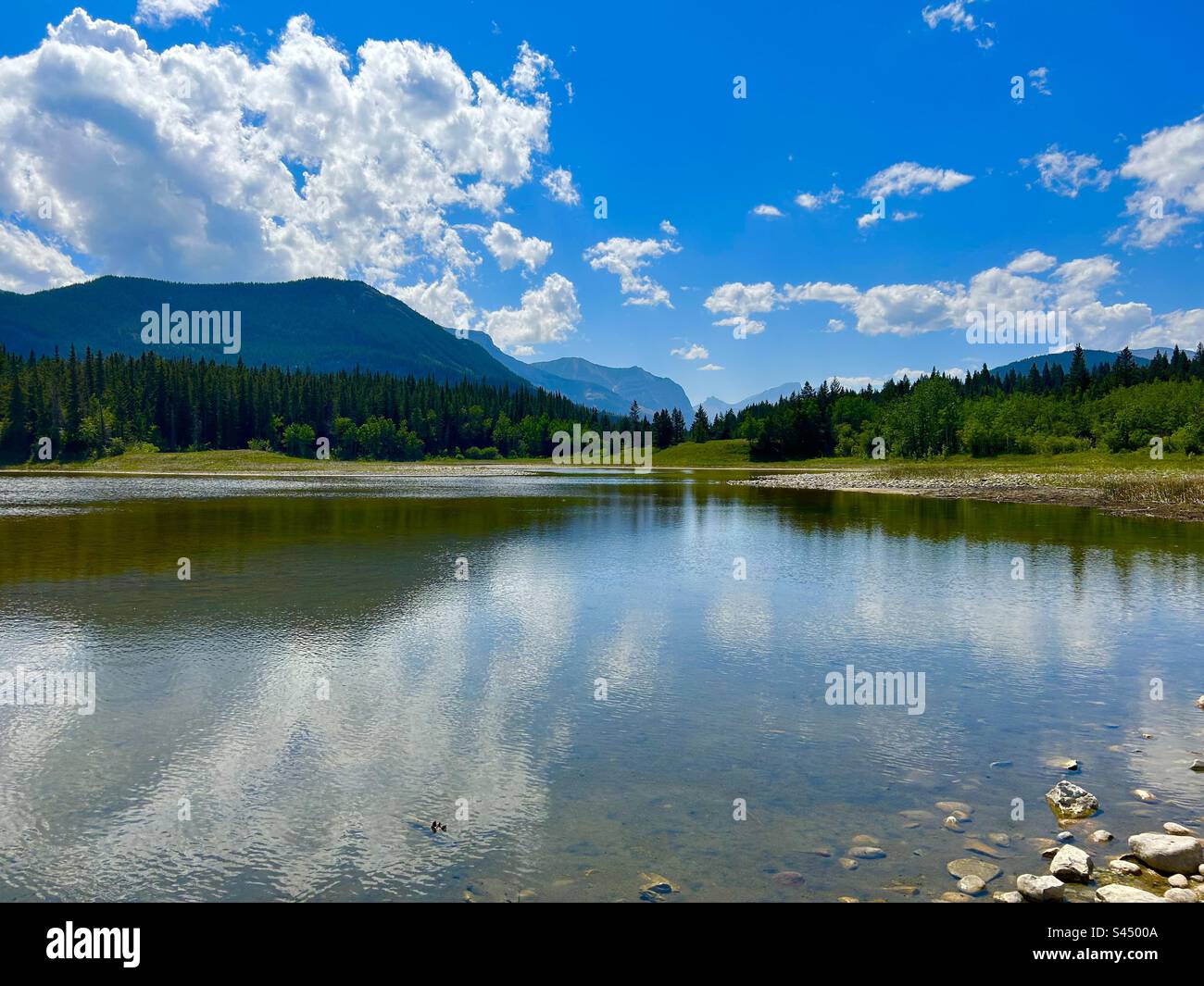 Middle Lake, Bow Valley Provincial Park, the Rockies, Canadian Rocky Mountains, wilderness, mountains, forest, wilds, mirror, calm, peaceful, solitude, reflect, reflection - Smartphone Captured Stock Image