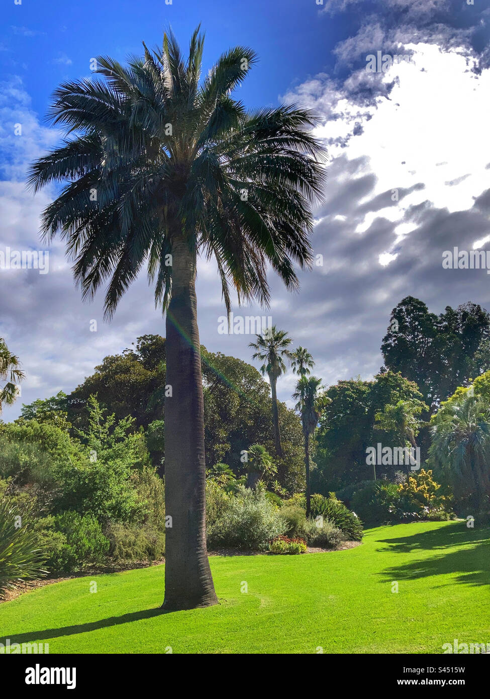 Royal Botanic Gardens Victoria Melbourne - Smartphone Captured Stock Image