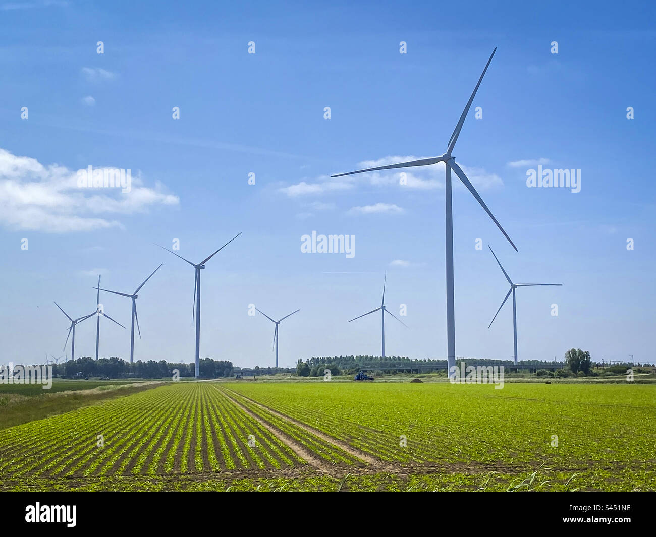 A wind farm amongst agricultural fields in the Netherlands - Smartphone Captured Stock Image