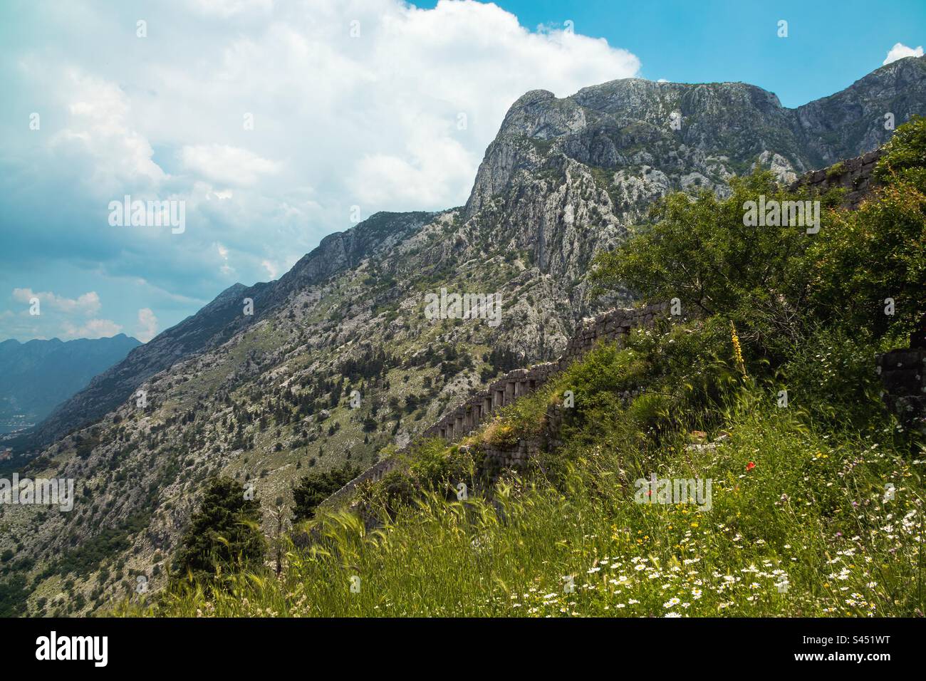 Kotor Hillside with Fort Walls. - Smartphone Captured Stock Image