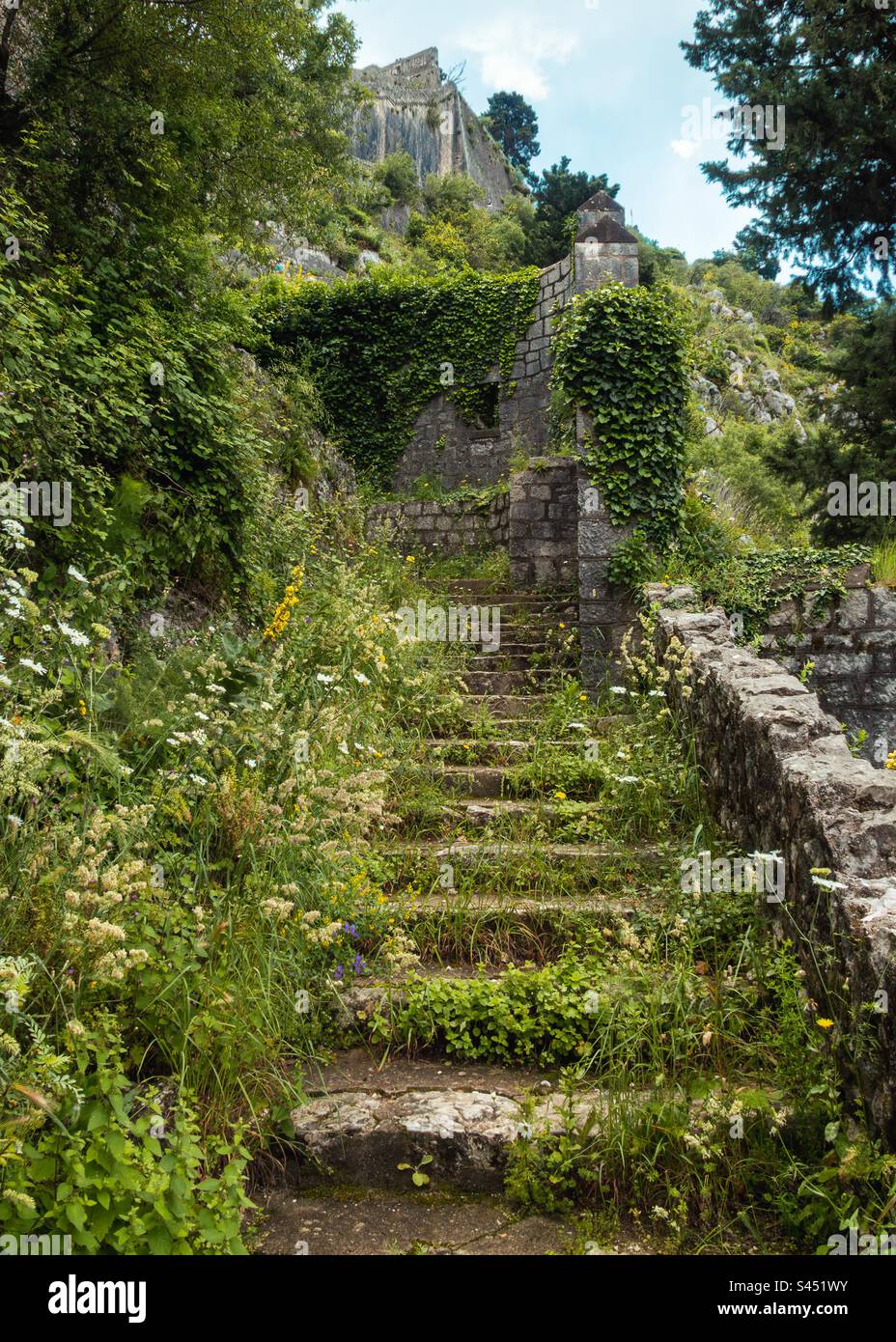 The Climb of Old Town Road in Kotor Montenegro. - Smartphone Captured Stock Image