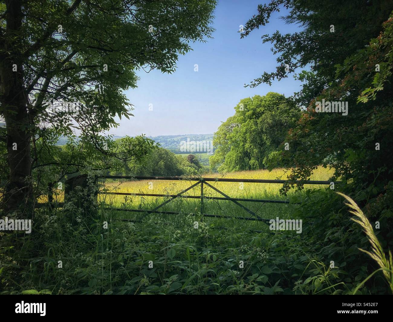 The view across the field and hillside from a metal farm gate. - Smartphone Captured Stock Image