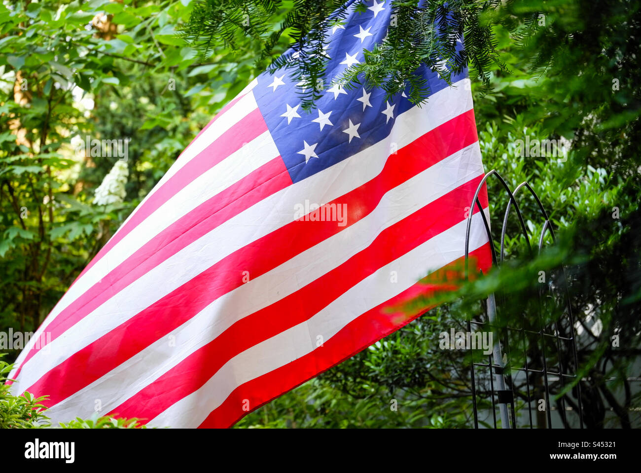 American flag in the garden - Smartphone Captured Stock Image