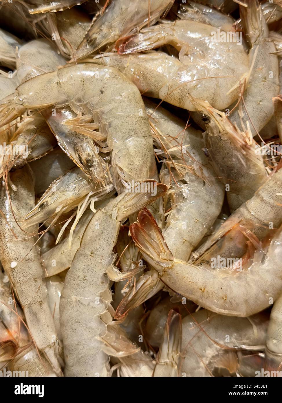 Uncooked prawns for sale in an upmarket fishmongers in Gloucestershire Stock Photo