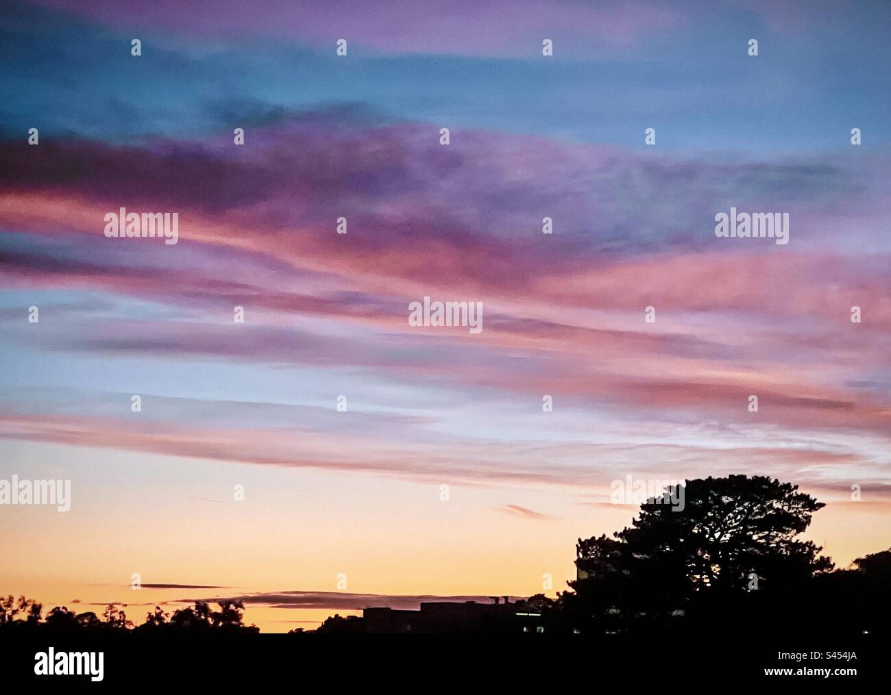 Artistic shot of dramatic sky, cloudscape with afterglow above silhouette of trees at dawn. Red sky at morning. - Smartphone Captured Stock Image