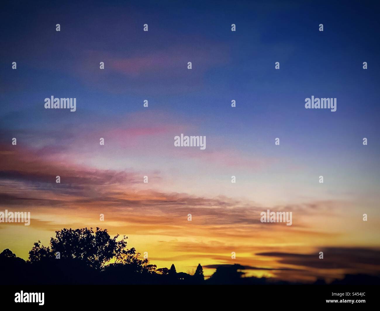Scenic shot of dramatic sky and cloudscape with afterglow above silhouette of trees at dawn. Red sky at morning. - Smartphone Captured Stock Image