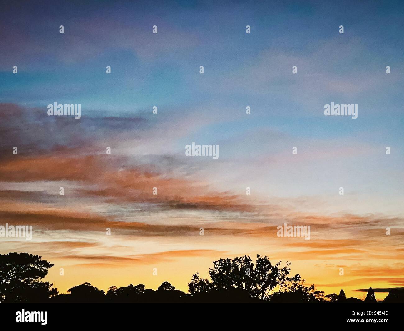 Scenic shot of dramatic sky, cloudscape with afterglow above silhouette of trees at dawn. - Smartphone Captured Stock Image