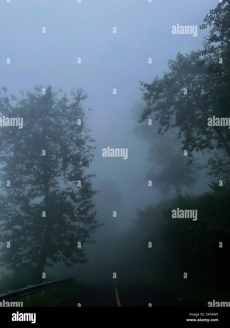 Misty forest road hi-res stock photography and images - Alamy