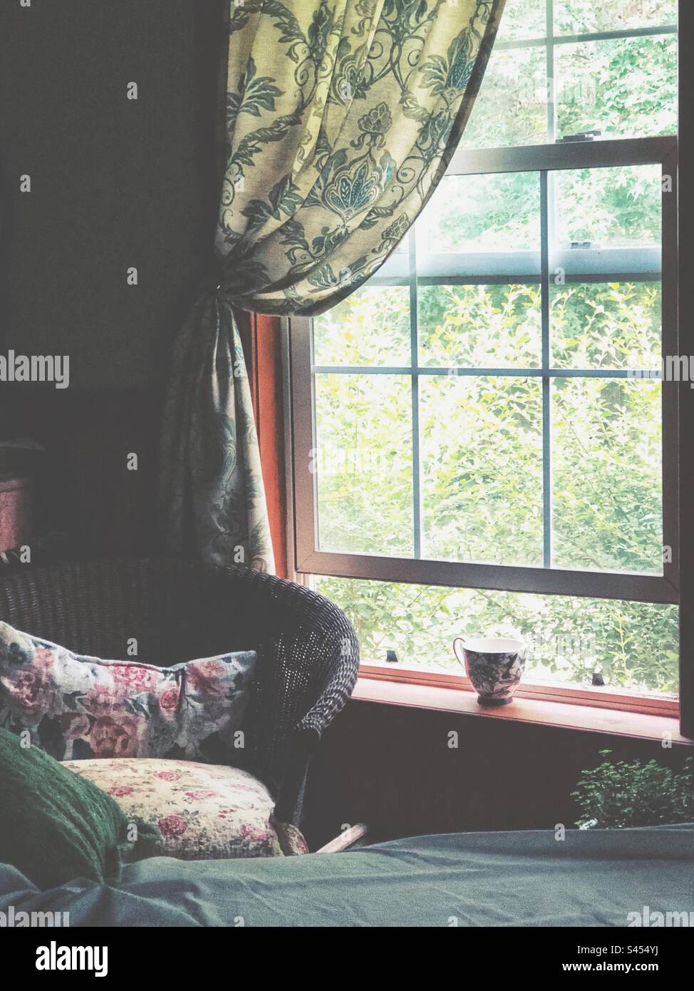 Spring morning looking out bedroom window with floral curtain and coffee cup - Smartphone Captured Stock Image
