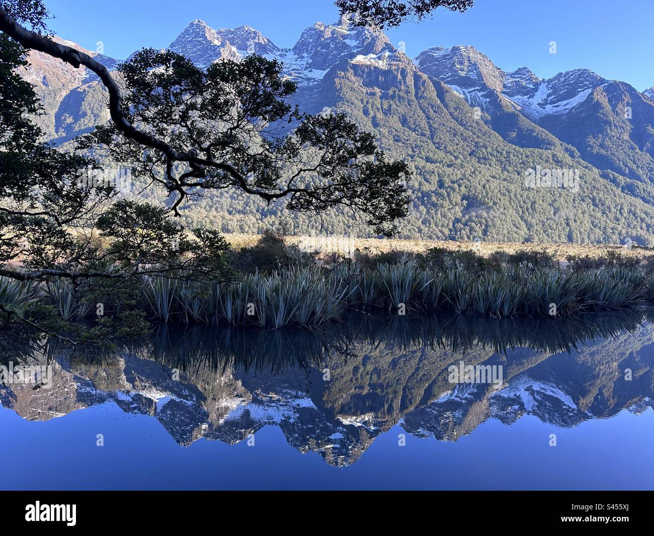 Reflection on the water at mirror lake, on the way to Milford Sound. Stock Photo