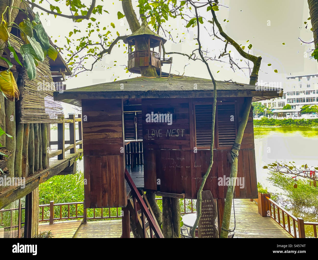 Love nest tree house - Smartphone Captured Stock Image