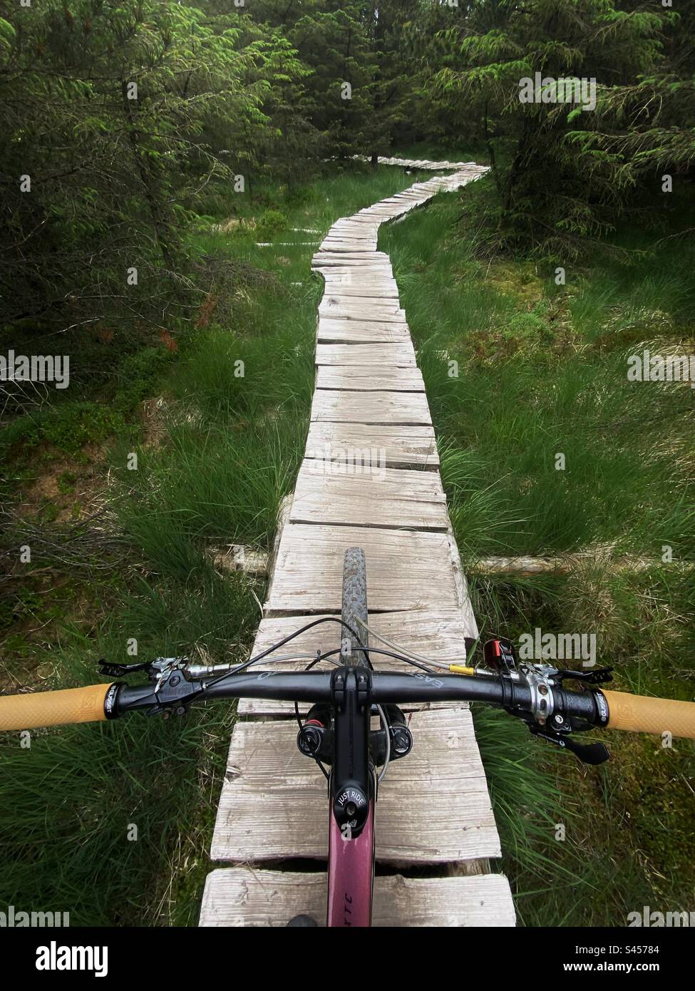 Mountain bike on the ‘boardwalk’ in Gisburn forest, Tosside, England. Stock Photo