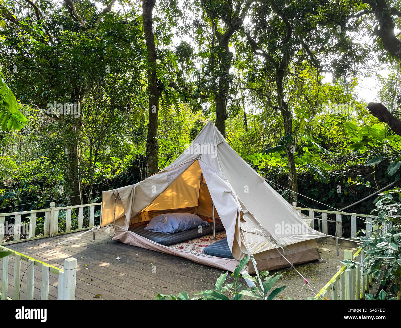 Jungle camping - Smartphone Captured Stock Image