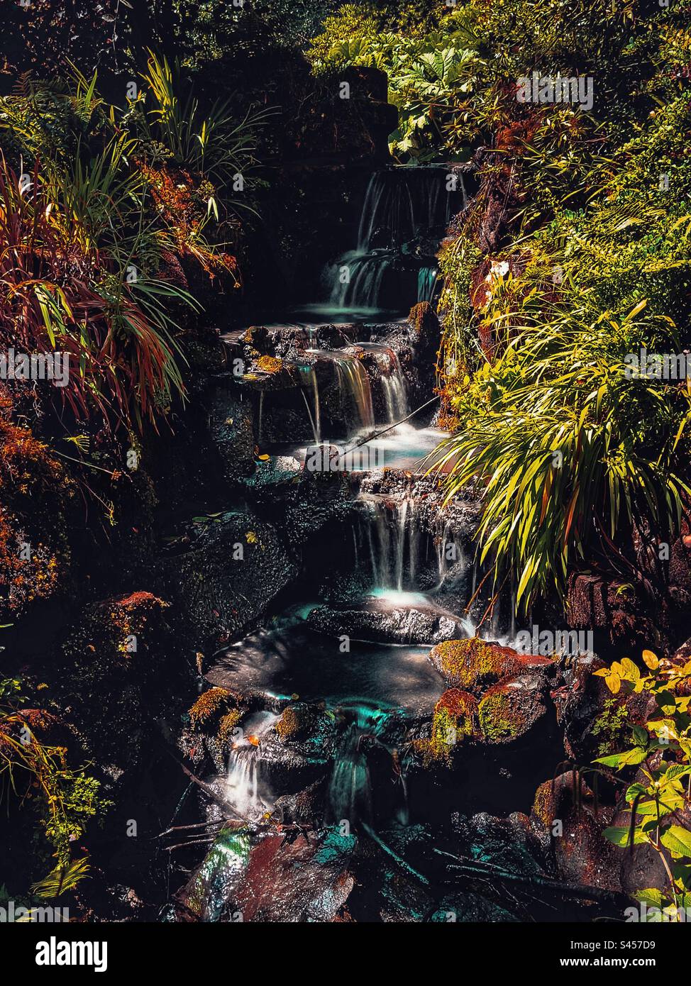 Clyne park water feature summer 2023, in south wales uk - Smartphone Captured Stock Image