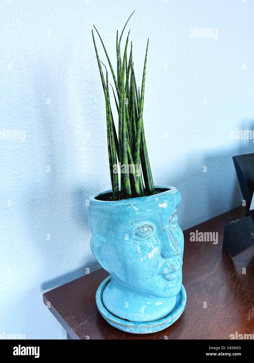 A Sansevieria plant in a pot shaped like a woman's head. Stock Photo