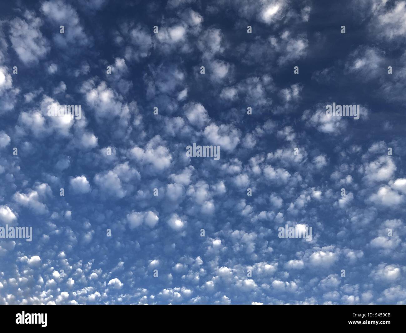 Altocumulus clouds in a blue summer sky in England, United Kingdom Stock Photo