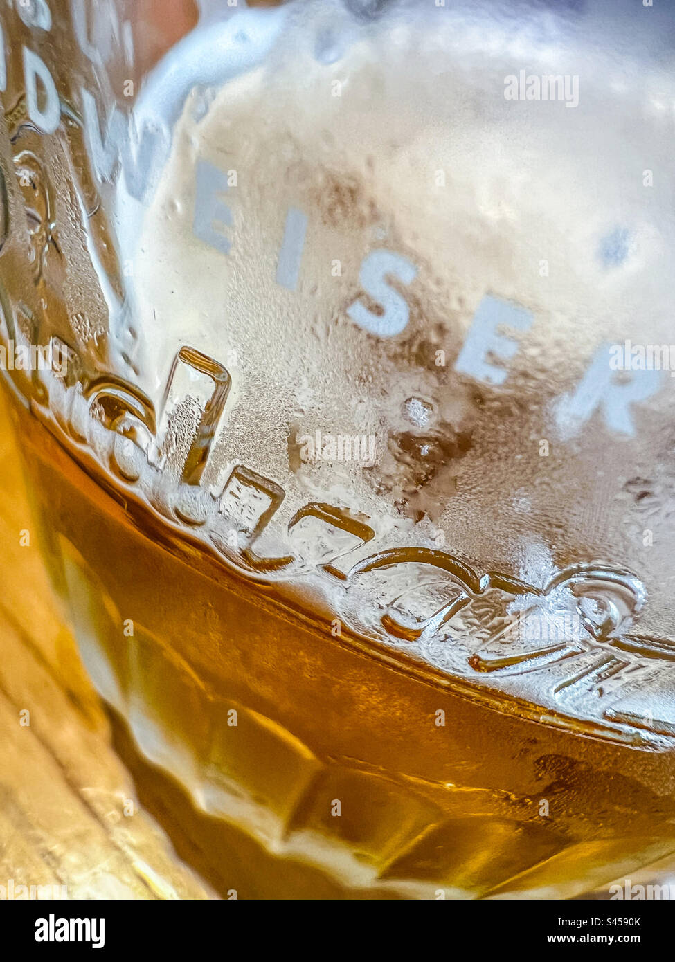 Close up of class of Budvar lager - Smartphone Captured Stock Image