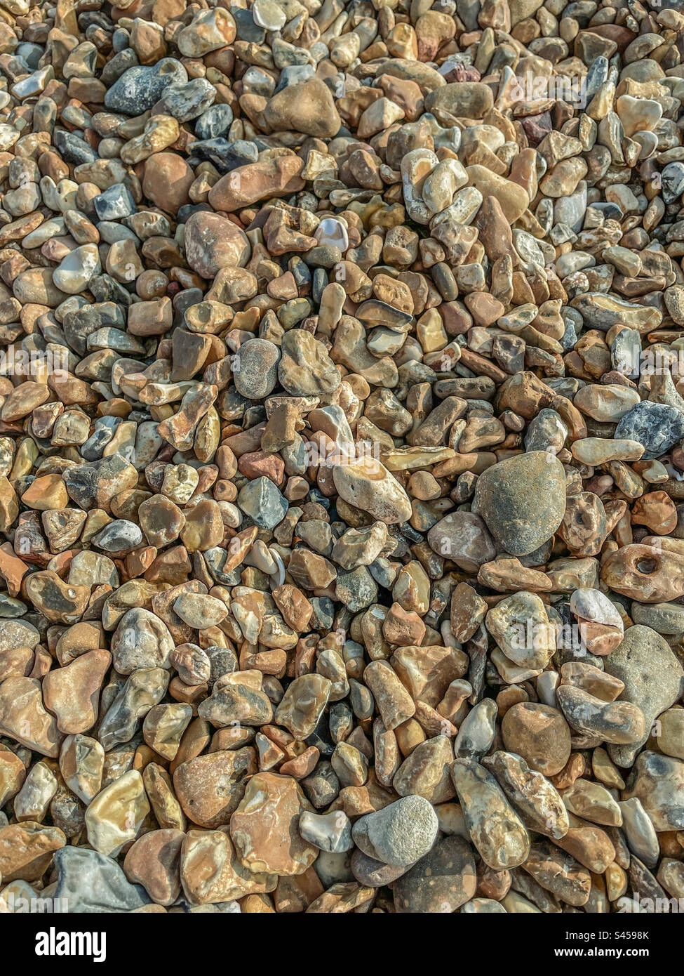 Pebbles on a beach Stock Photo