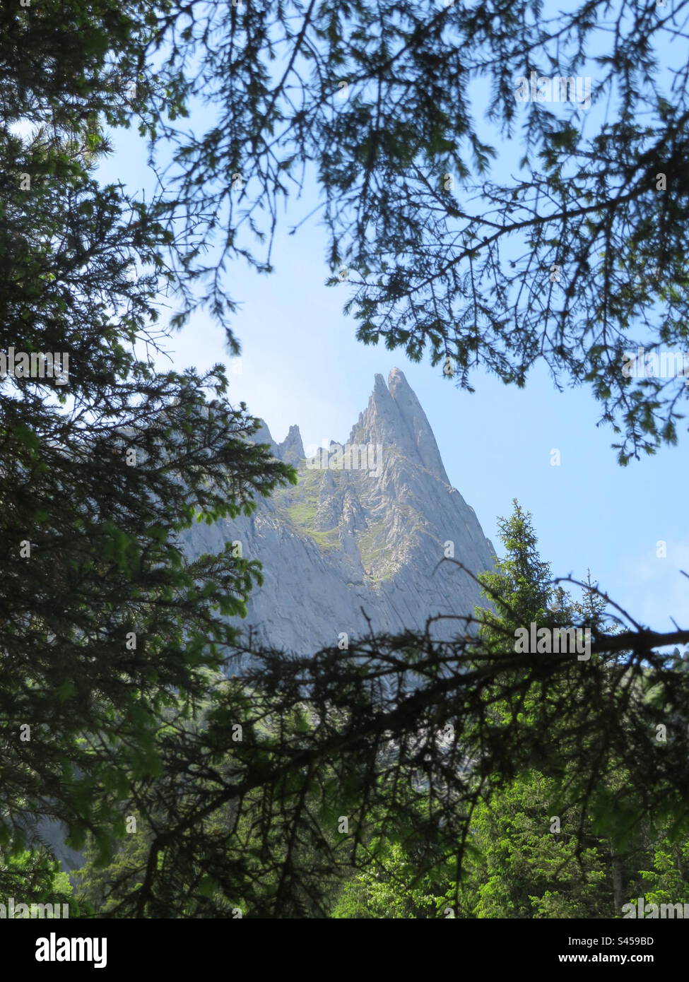 Alps! Rosenlaui! Switzerland! Stock Photo