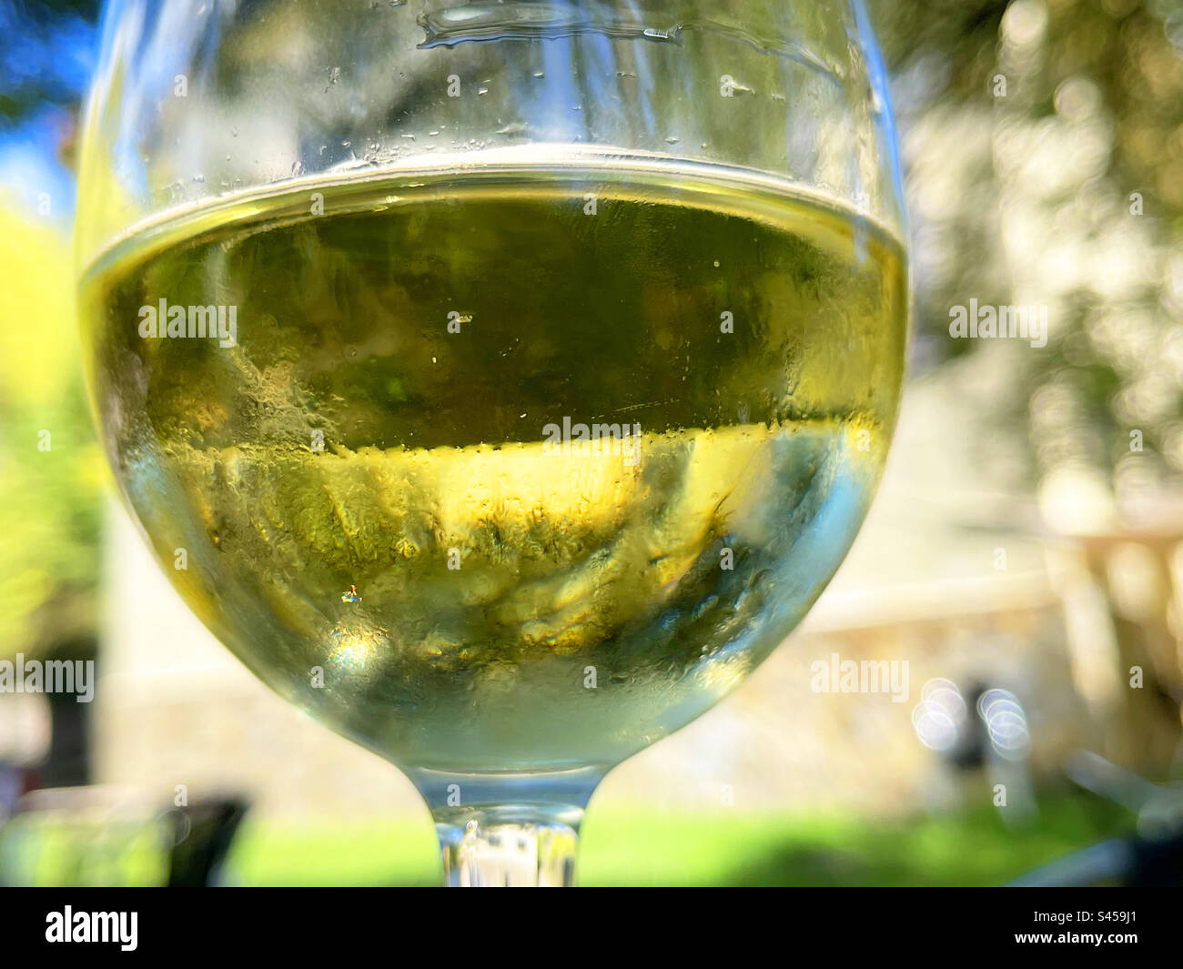 Glass of white wine. Close view. - Smartphone Captured Stock Image