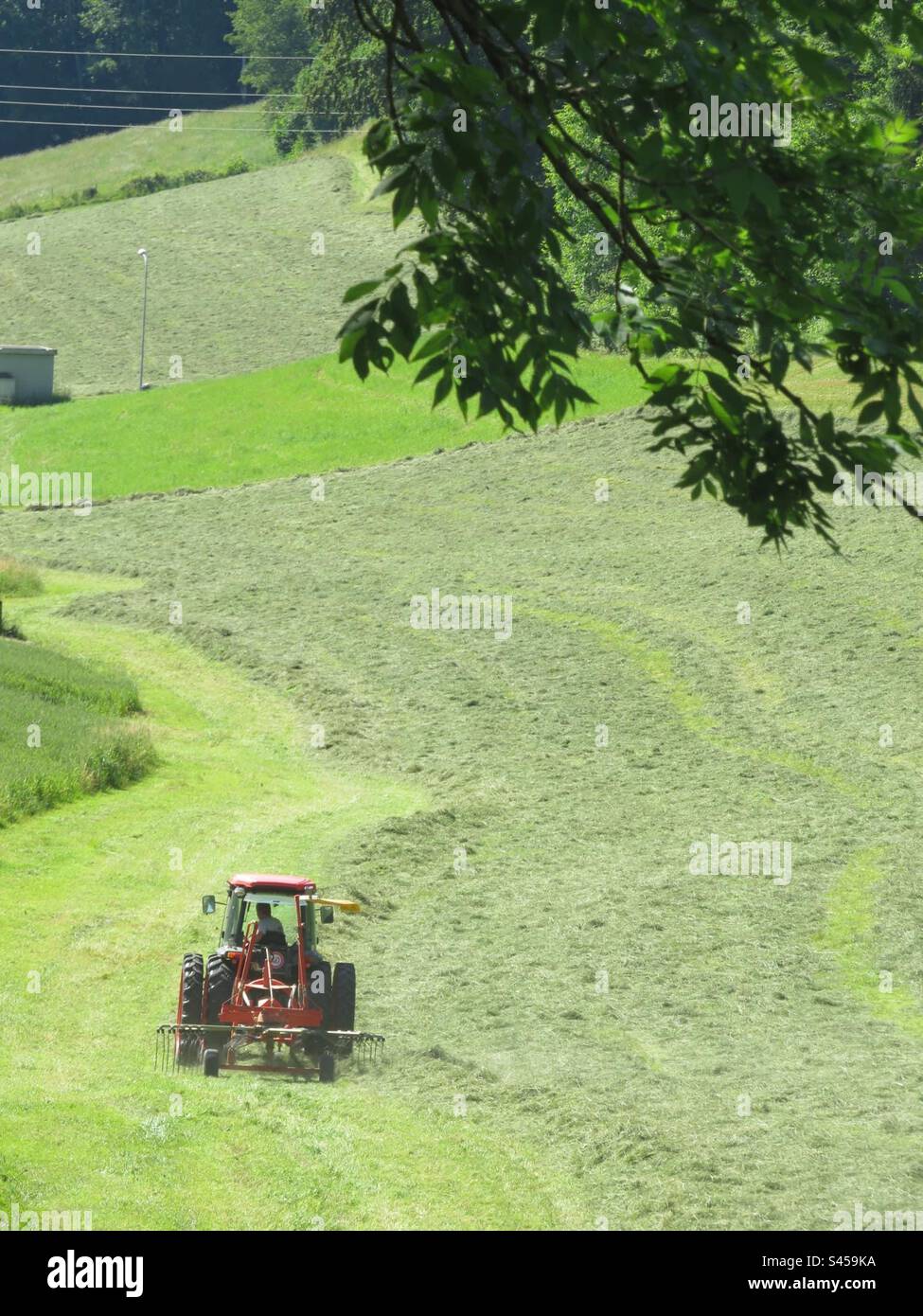 Farming! Switzerland! Stock Photo