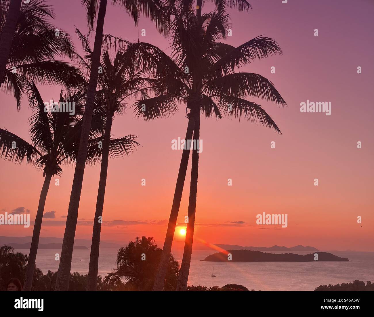 One Tree Hill Hamilton Island Sunset Australia Stock Photo Alamy