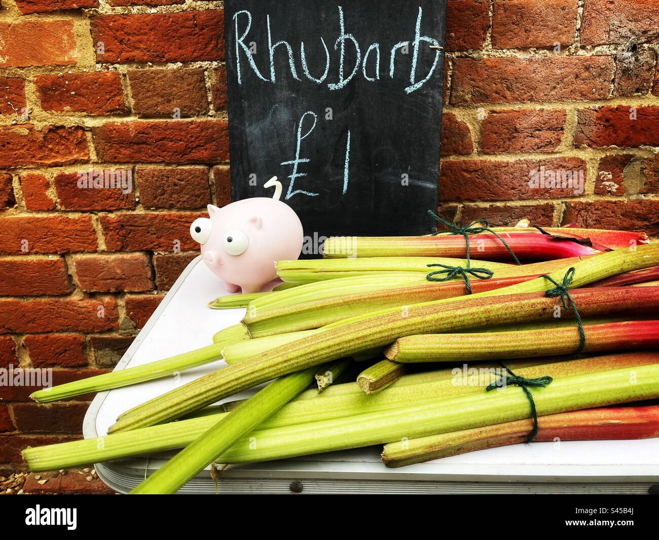 Homegrown rhubarb for sale at the gate - Smartphone Captured Stock Image
