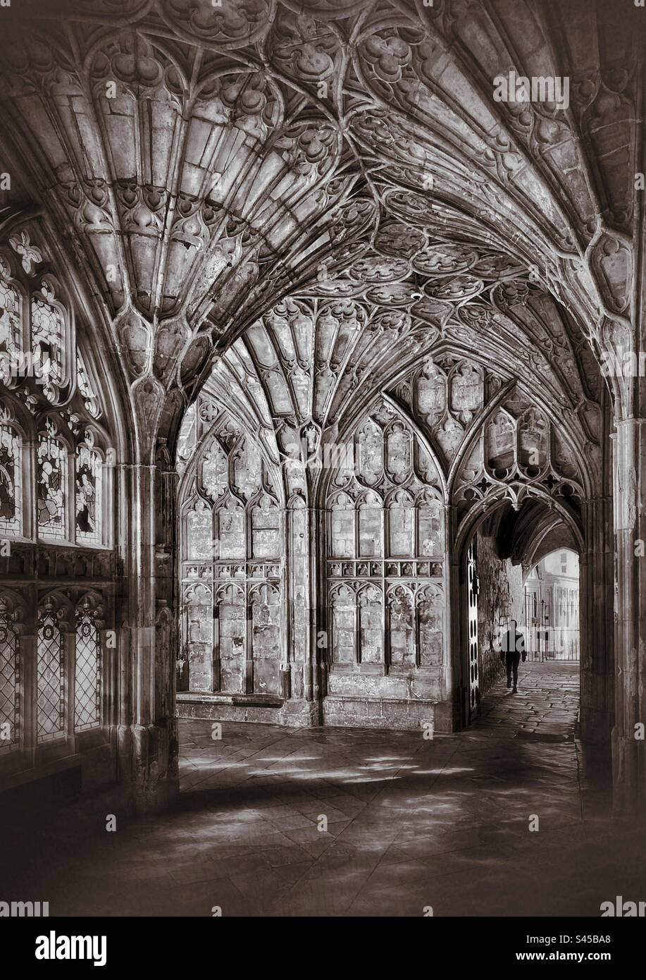 A lone figure walks in a passageway within a religious building containing ornate walls and fan vaulted ceilings. A picture that conveys mood and asks questions? Photo ©️ COLIN HOSKINS. - Smartphone Captured Stock Image