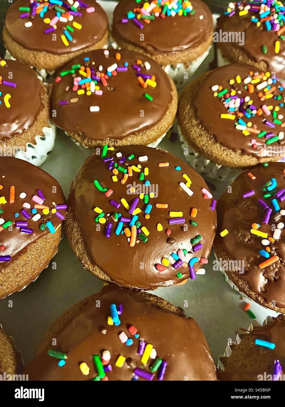 Chocolate cupcakes with rainbow sprinkles Stock Photo Alamy