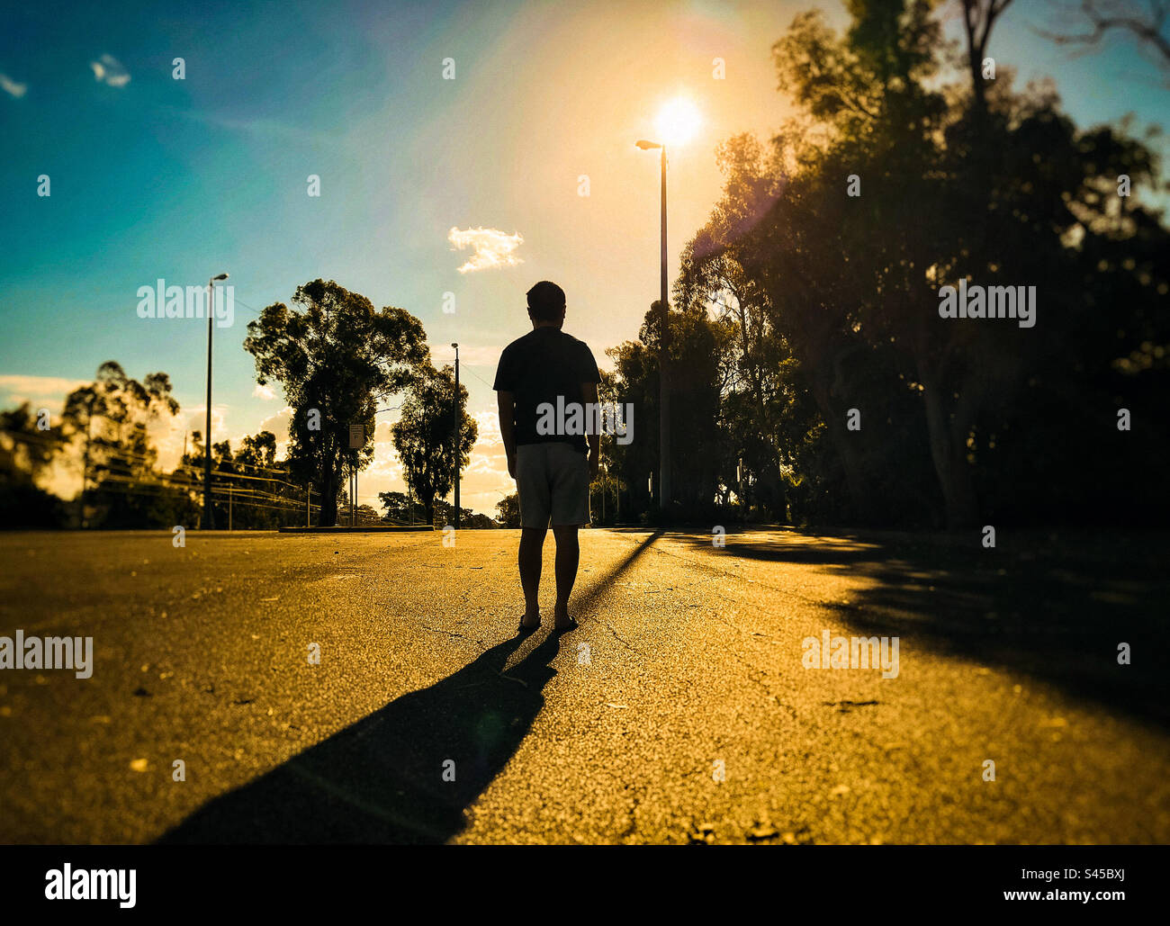 Rear view of a man walking against trees, lamp posts, setting sun and sky during sunset. Back lit. Silhouette. Golden hour. - Smartphone Captured Stock Image