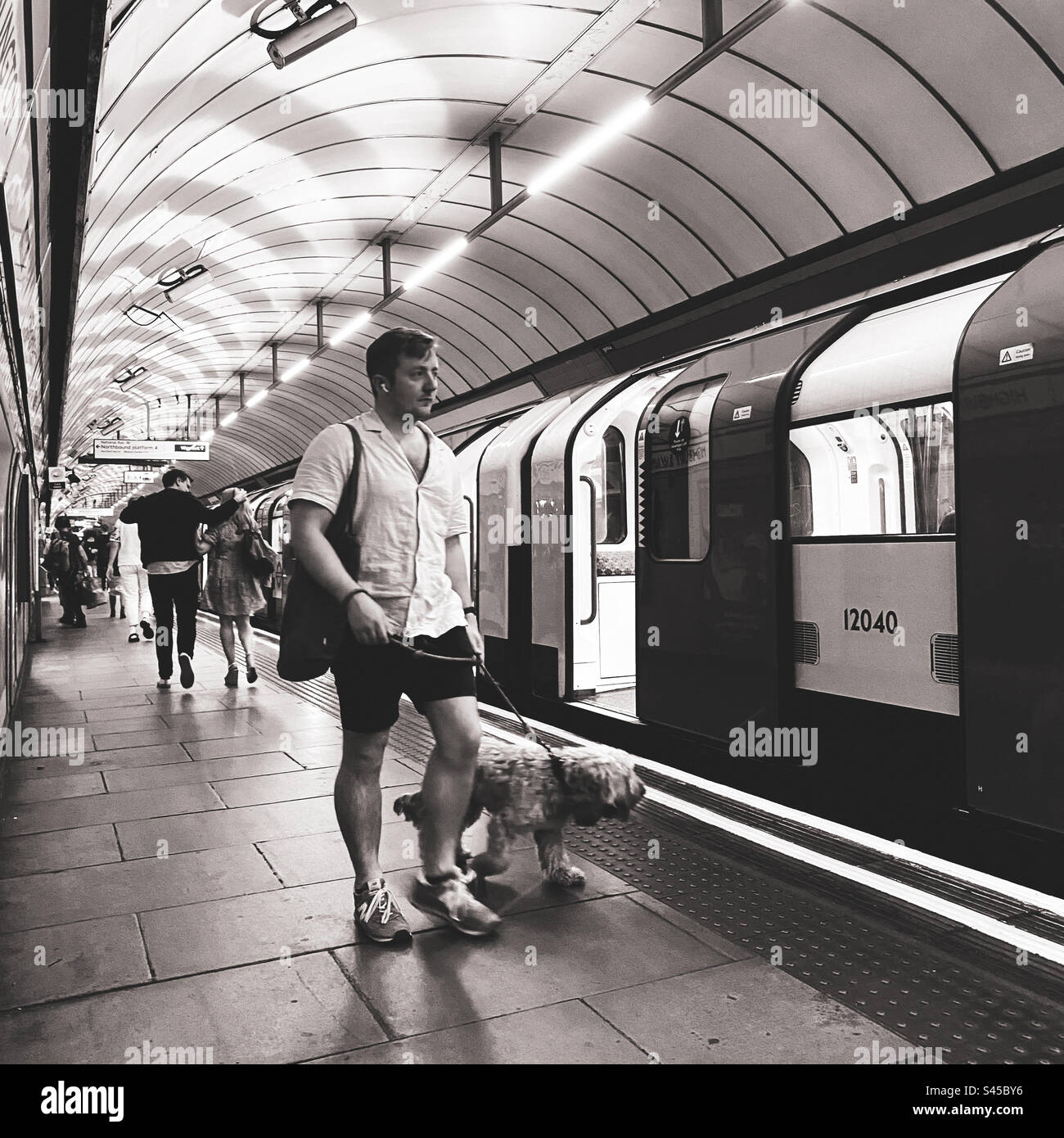 A man walks with his dog as a tube train arrives in London - Smartphone Captured Stock Image