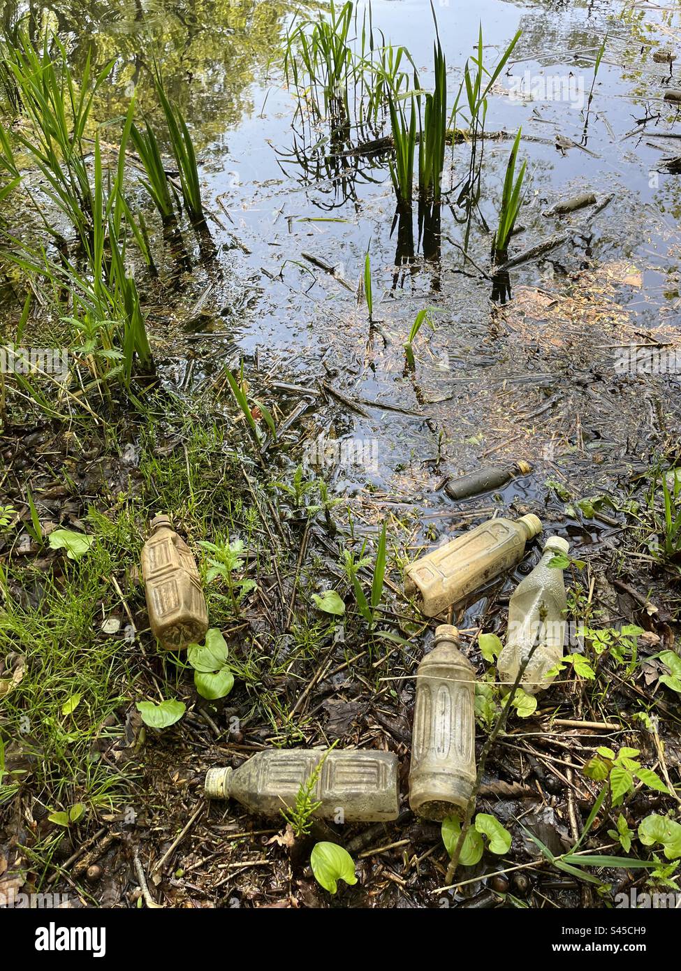 Plastic bottles littering a lakes shore - Smartphone Captured Stock Image