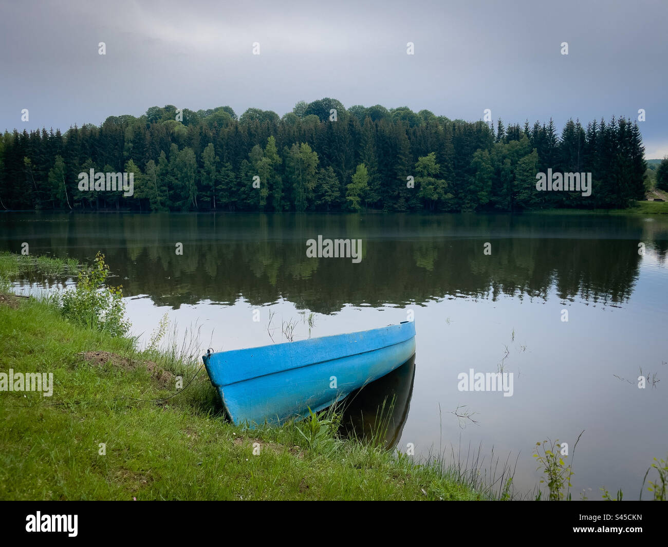 One blue wooden boat on a lake surrounded by coniferous trees - Smartphone Captured Stock Image