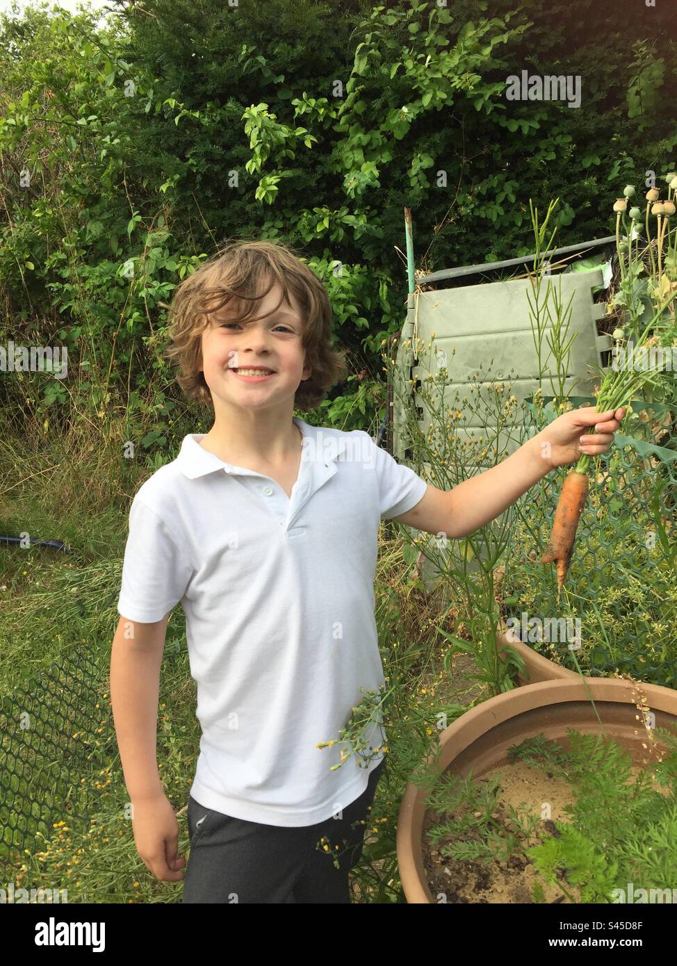 Child gardening and holding a carrot - Smartphone Captured Stock Image