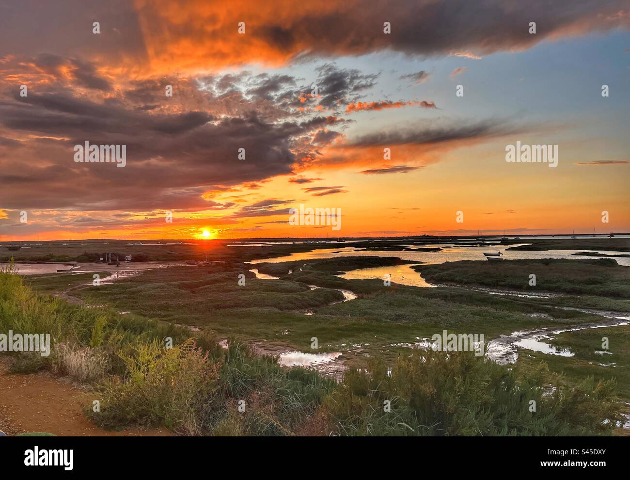 Sunset over salt marshes. Burnham Deepdale, Norfolk, UK. Stock Photo