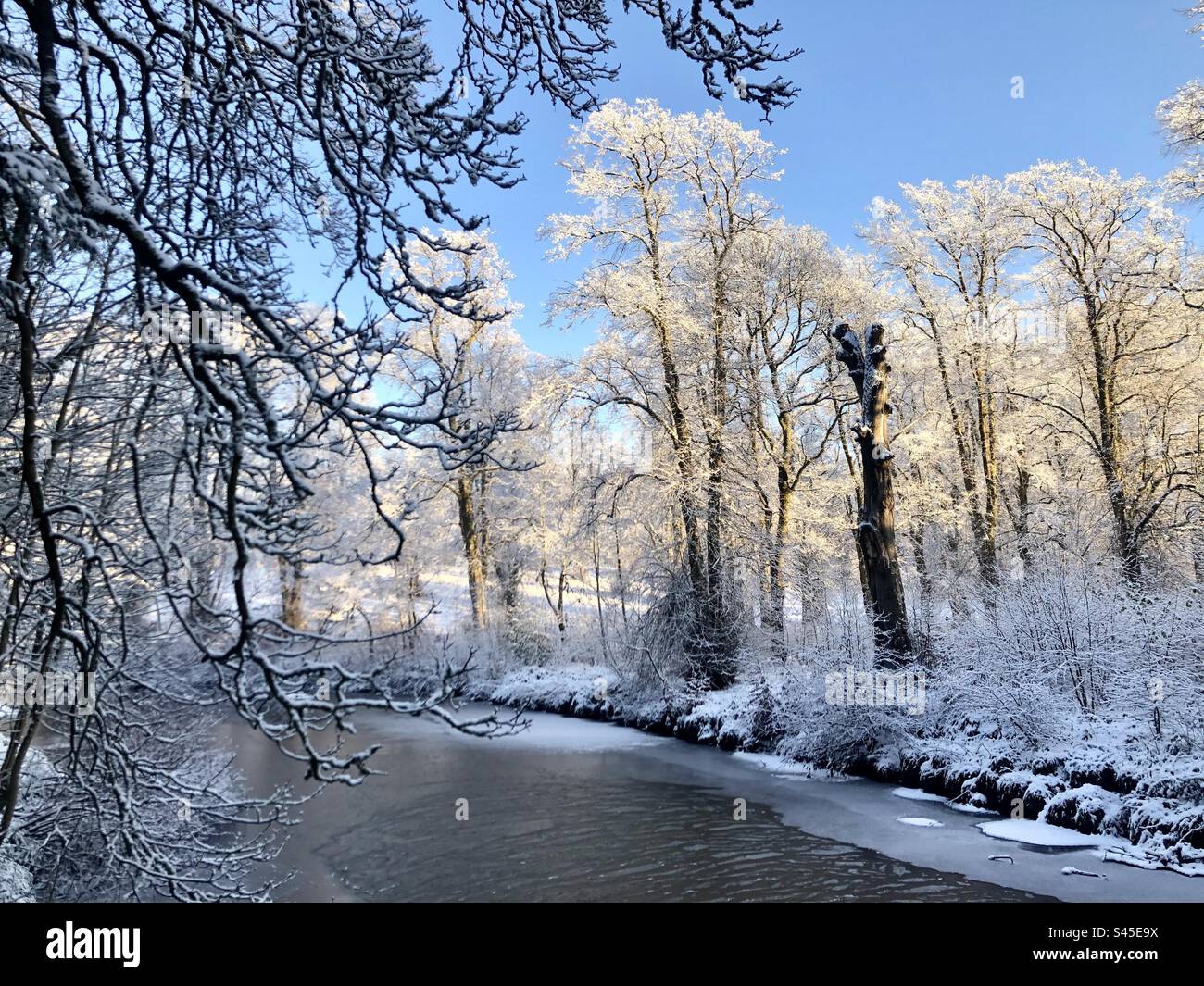 Linn Park. Glasgow Stock Photo Alamy