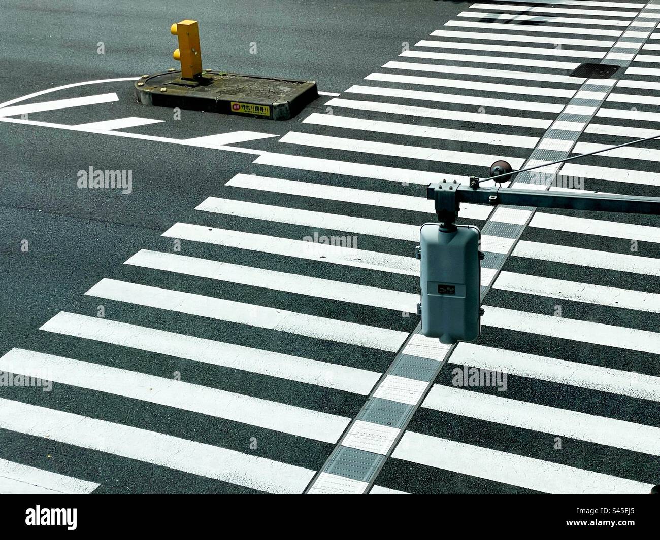 A photo of a zebra crossing in Japan ueno street with traffic lights