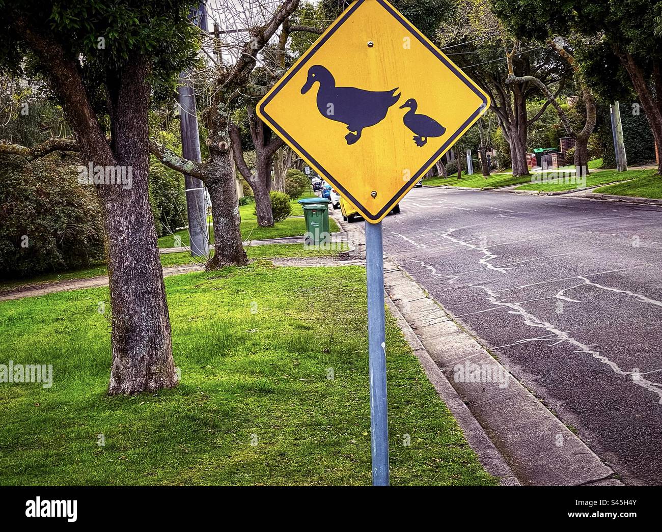 Duck crossing warning sign on suburban road in Victoria, Australia. Stock Photo