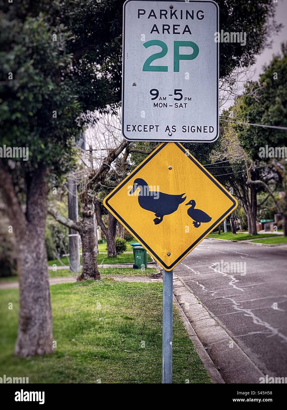 Duck crossing warning sign along road in suburban Victoria, Australia. Stock Photo