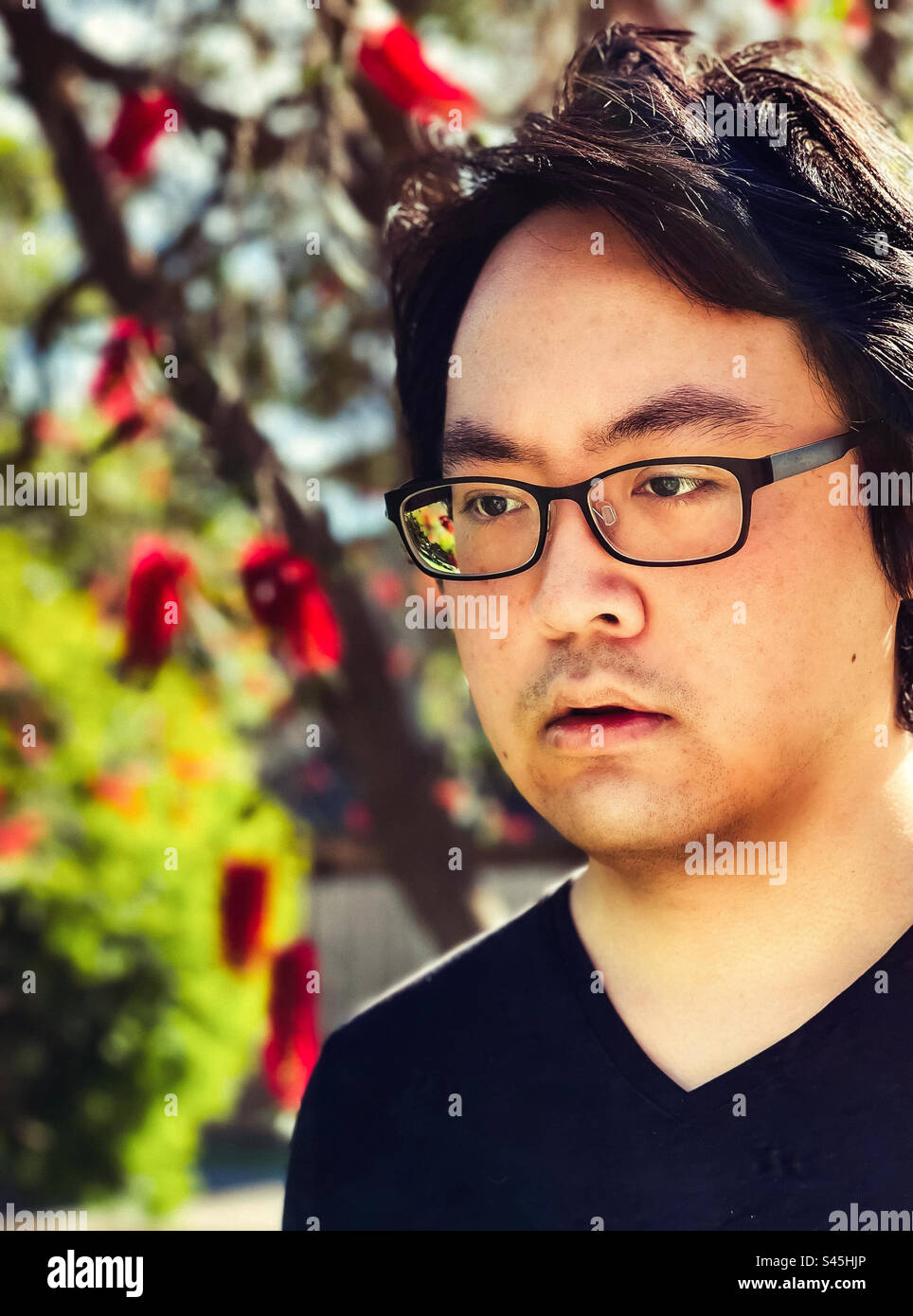 Close-up portrait of young Asian man in eyeglasses against flowering Callistemon or bottlebrush tree. Focus on foreground. Vision care. - Smartphone Captured Stock Image