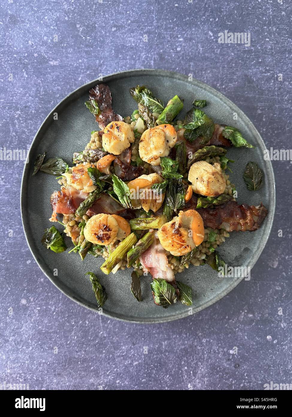 Pan fried scallops with lentils, crispy pancetta and asparagus Stock