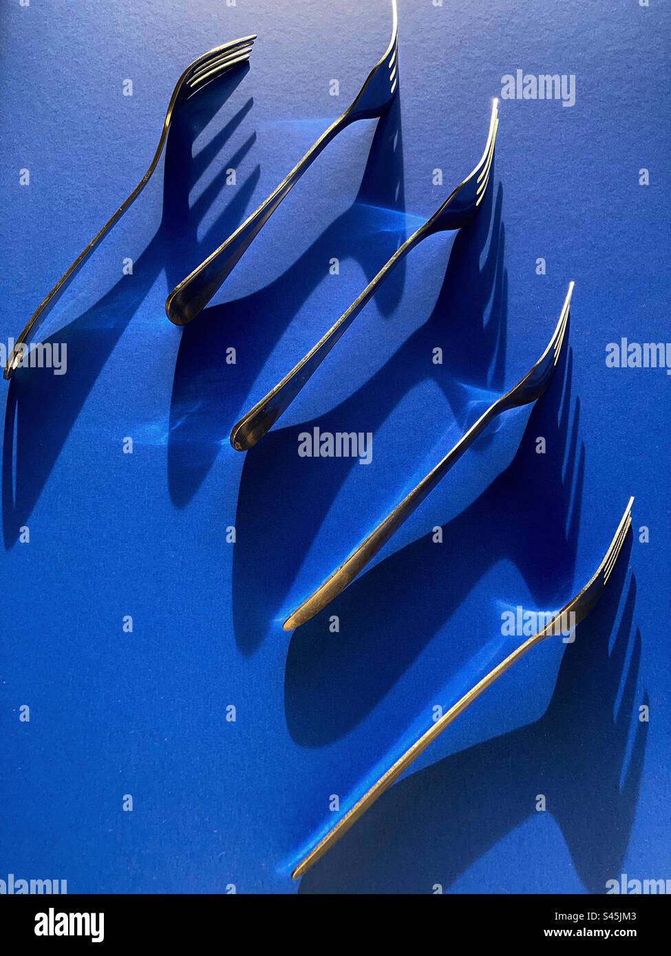 Isolated set of forks on a blue background with dramatic natural light - Smartphone Captured Stock Image