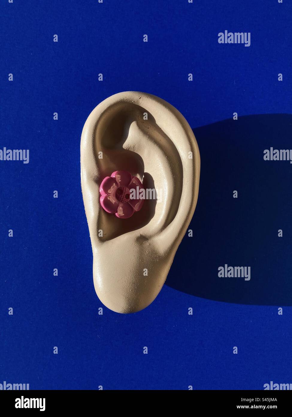 Isolated ear model on blue background with pink button flower shape inside - Smartphone Captured Stock Image
