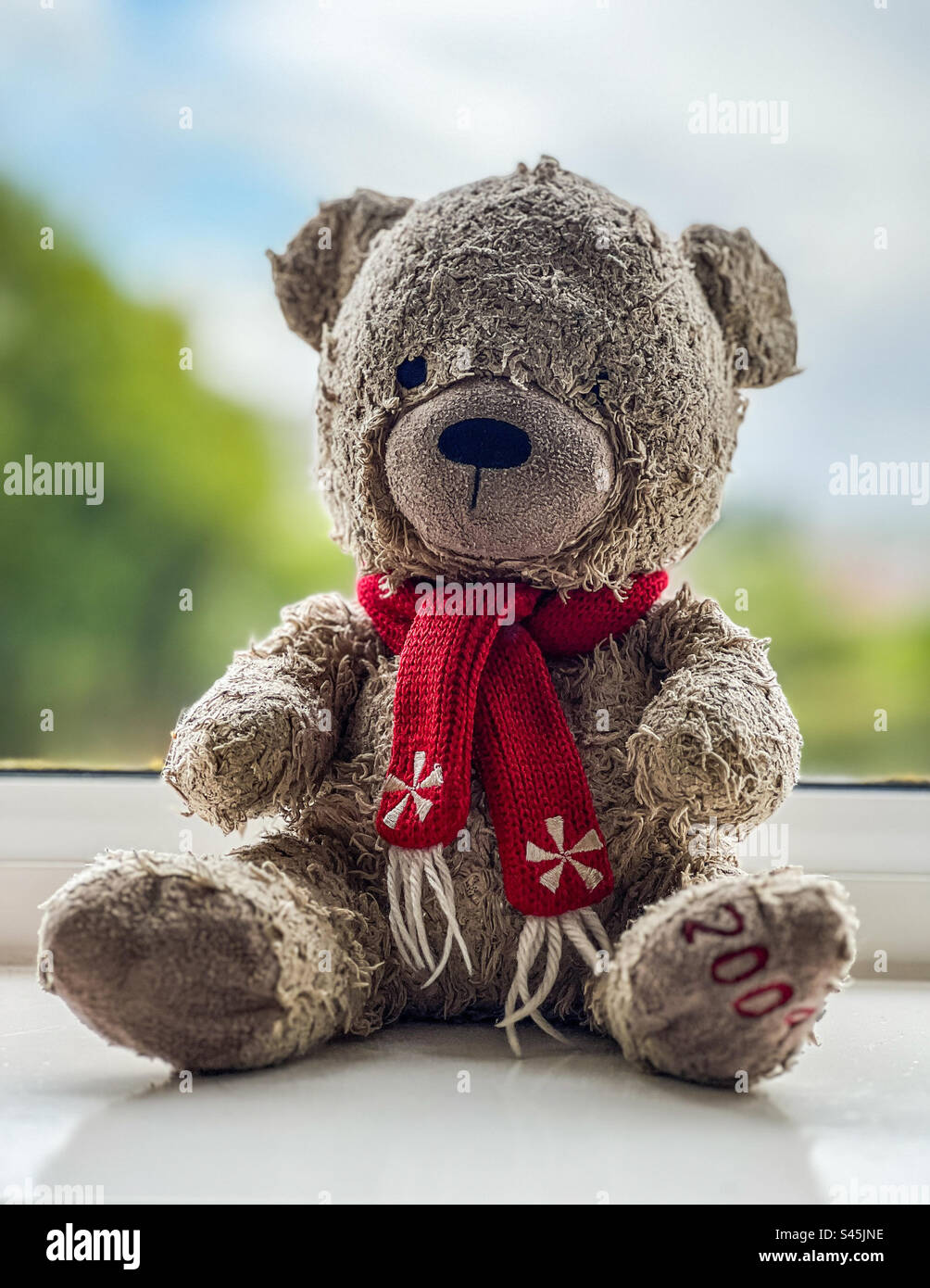Teddy bear old not illustration hi-res stock photography and images - Alamy