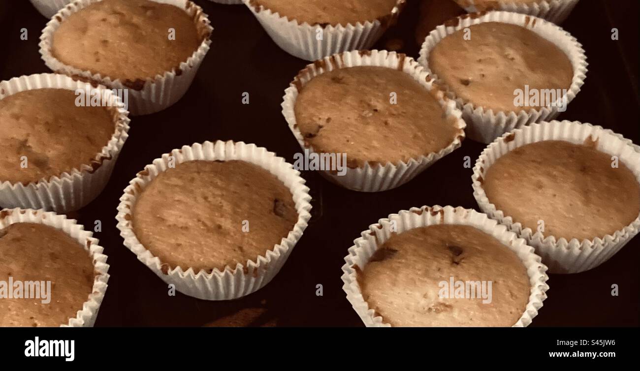 Fairy cakes freshly baked on an oven tray Stock Photo