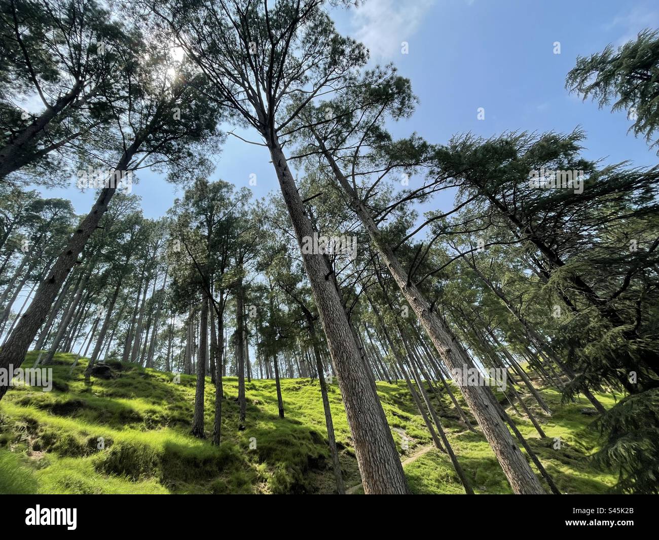 Beauty of nature in Abbotabad. Stock Photo